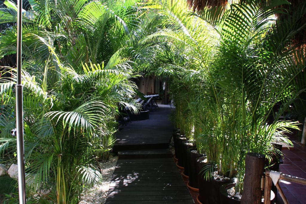 La Tortuga Hotel & Spa - Adults Only Плая-дель-Кармен Экстерьер фото